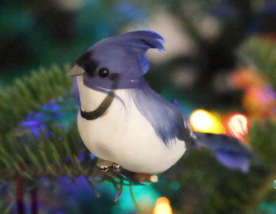 An ornament on our tree